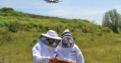 <span class='piano-premium'>Premium</span>Airport Calls in the Beekeepers to Save Pollinators